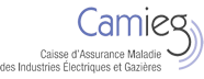 Logo CAMIEG